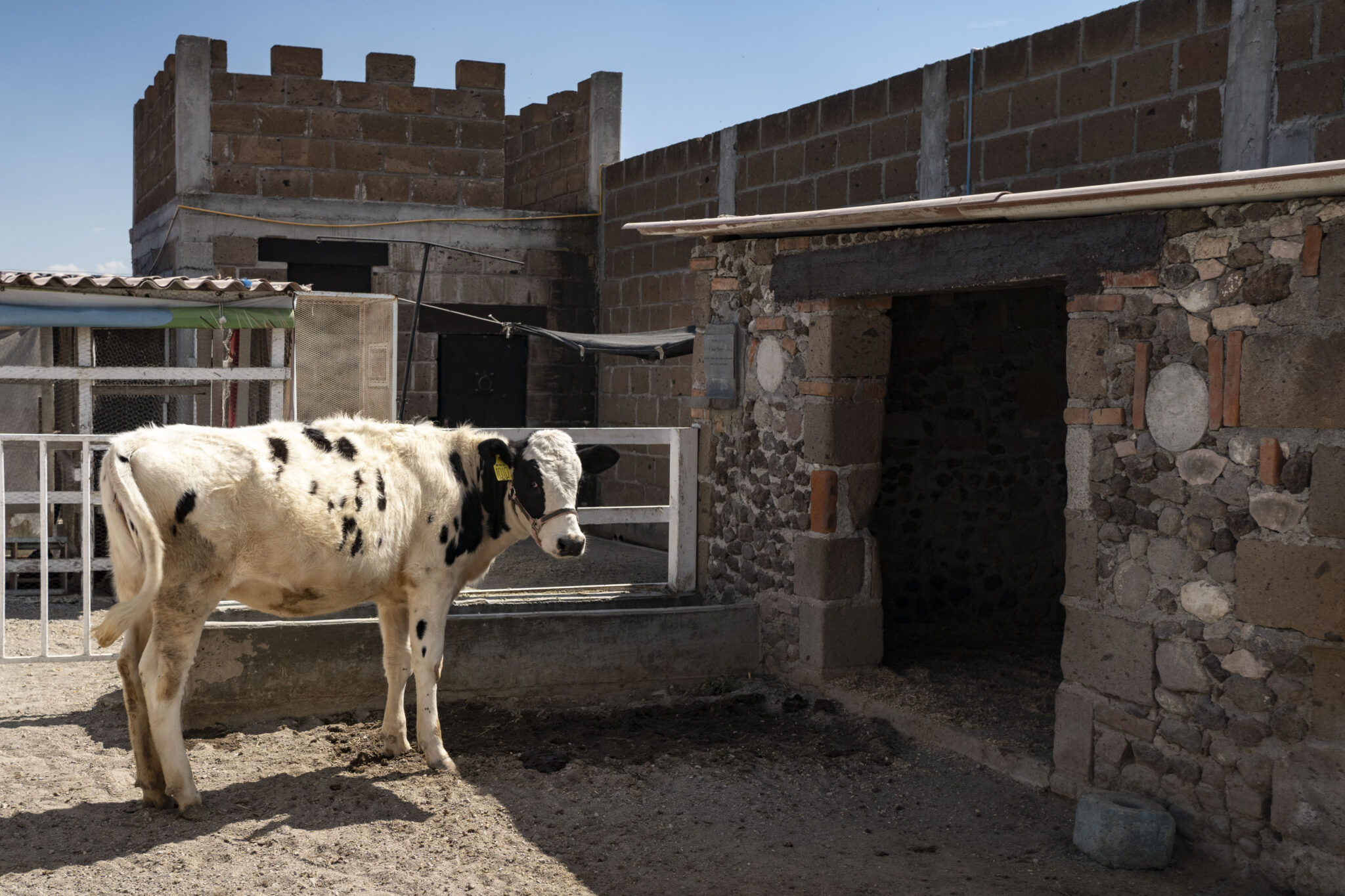 Diversión para chicos y grandes en La Granja de Don Pollo - Turismo del  Estado de Querétaro