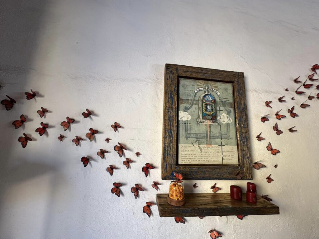 465152670_1198809325089878_8966358204311142522_n