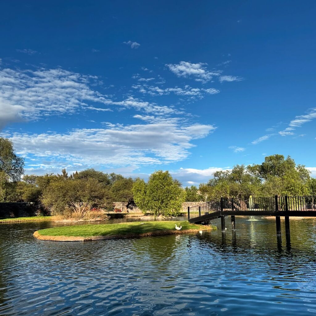 473790336_18291217093242411_5144192497044036077_n