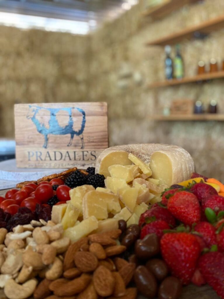 470484212_8528522237252570_4969697715538095556_n