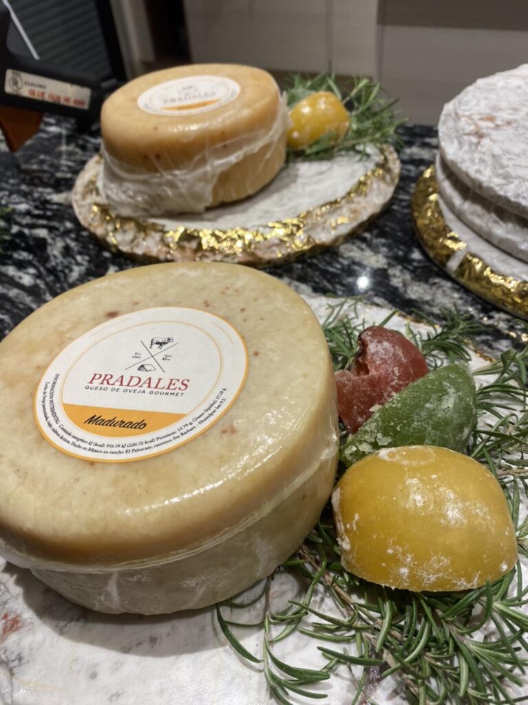 484570412_1296161781949998_2750223129151574496_n