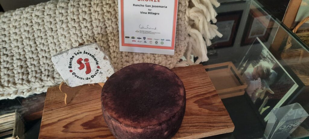 488905348_1242808707845276_5759500993377448412_n