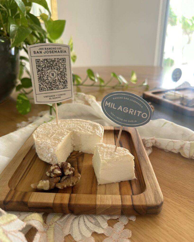 492442821_1258503819609098_2559656743928333531_n