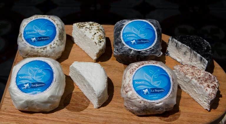 494918508_1246190344178991_1490543769226712705_n