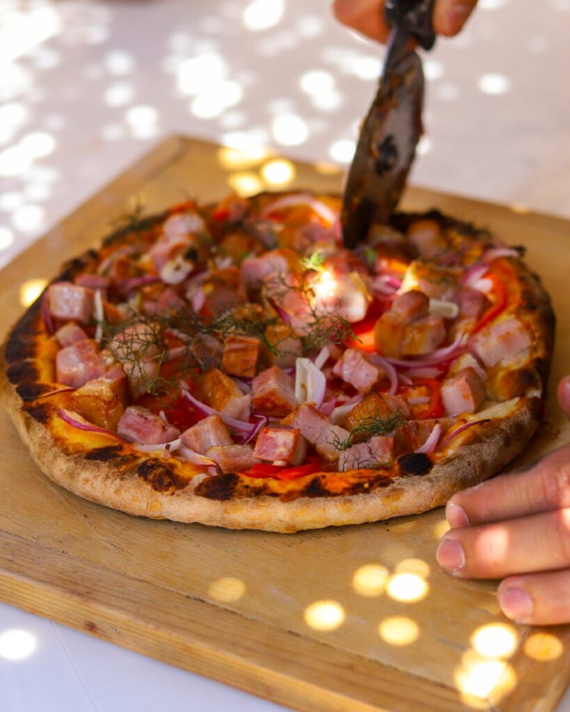 500271178_1257939542563908_7604576176441412693_n