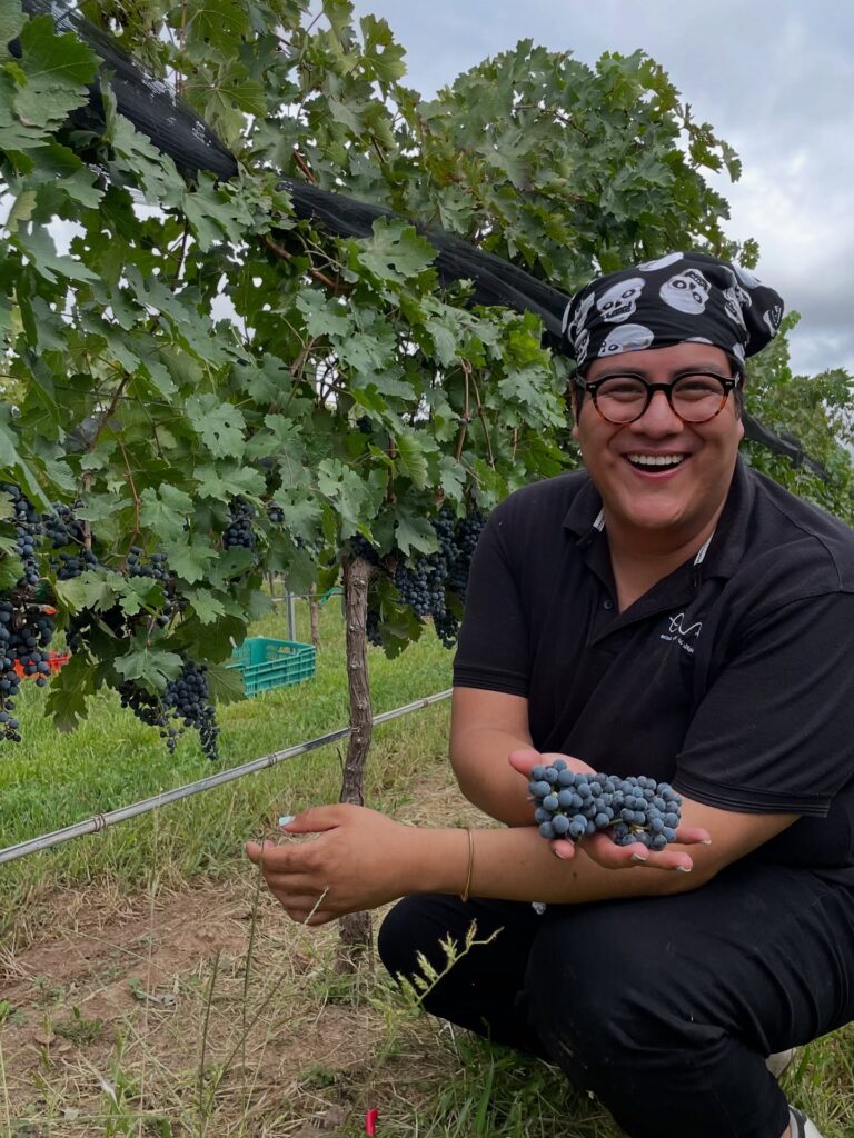 509415469_18374286112127937_5765676782146741955_n