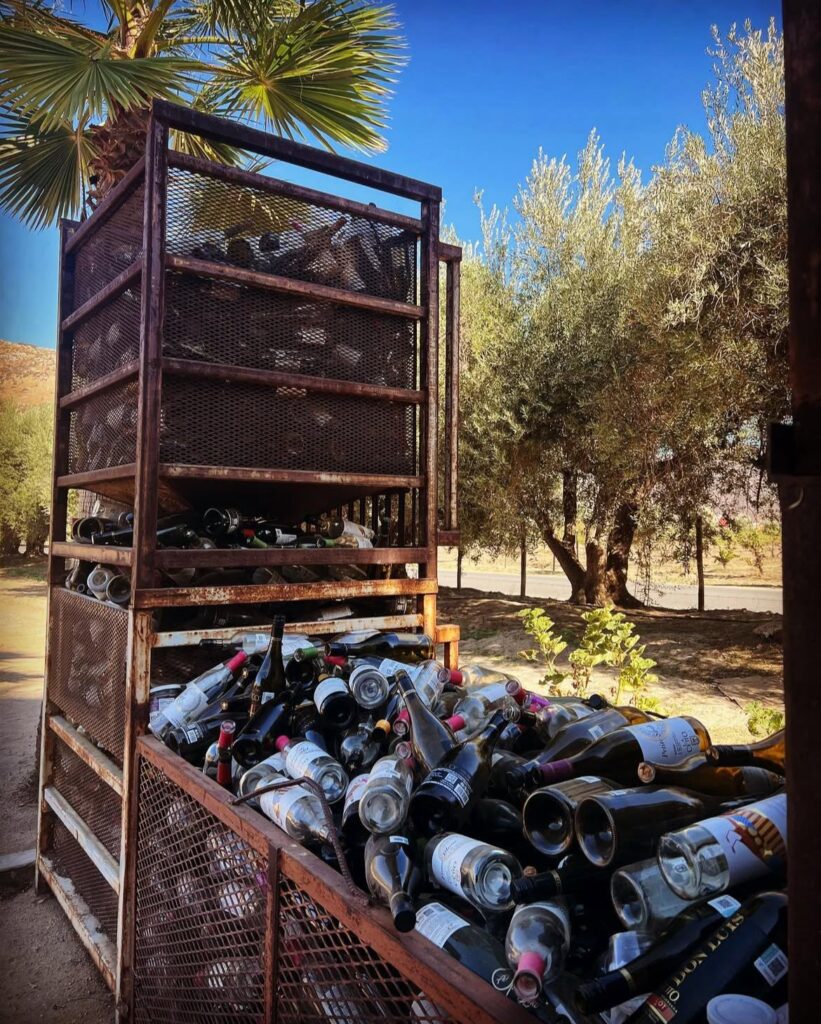 WhatsApp Image 2025-10-08 at 4.27.32 PM (1)