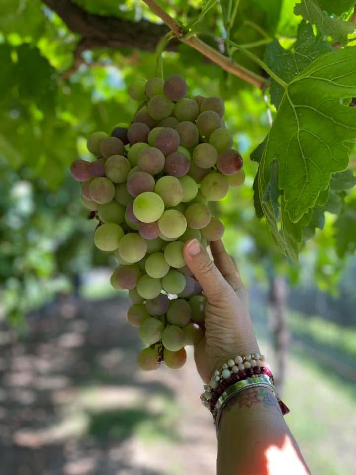 WhatsApp Image 2025-10-09 at 10.43.03 AM