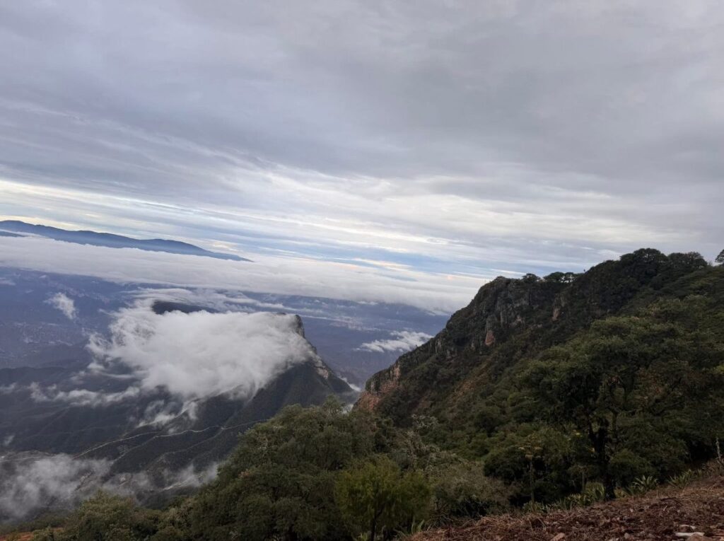 WhatsApp Image 2025-10-09 at 11.07.00 AM (1)