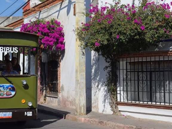 WhatsApp Image 2025-10-23 at 4.44.06 PM (1)