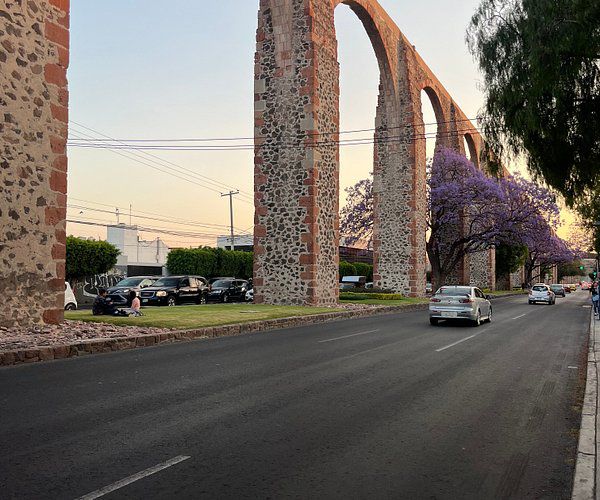 WhatsApp Image 2025-10-23 at 5.13.37 PM (1)