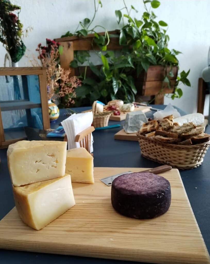 WhatsApp Image 2025-10-28 at 1.41.31 PM