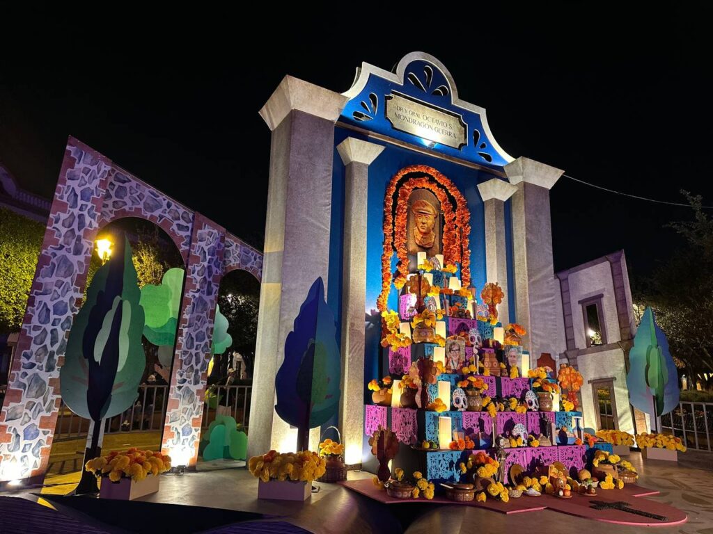 photo_4899949964503485321_y