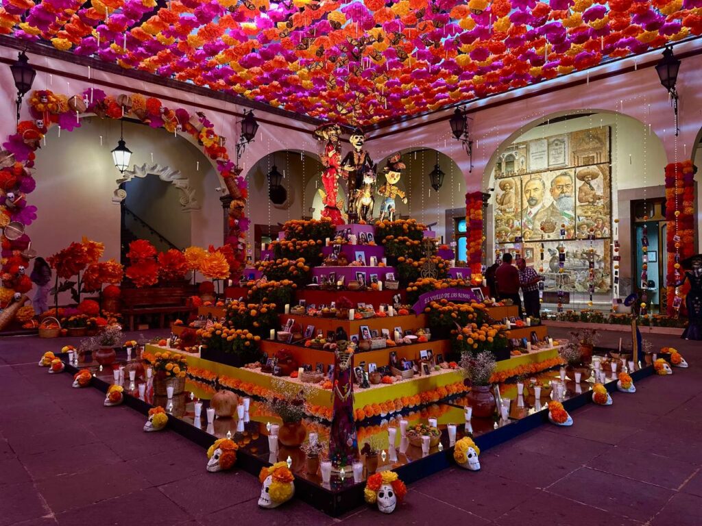 photo_4900070747573783328_y