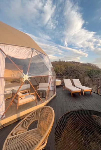 puertadellobo-inicio-noni