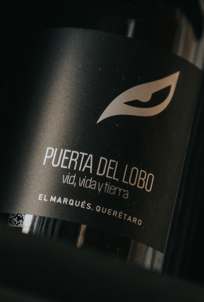 puertadellobo-inicio-vinojoven