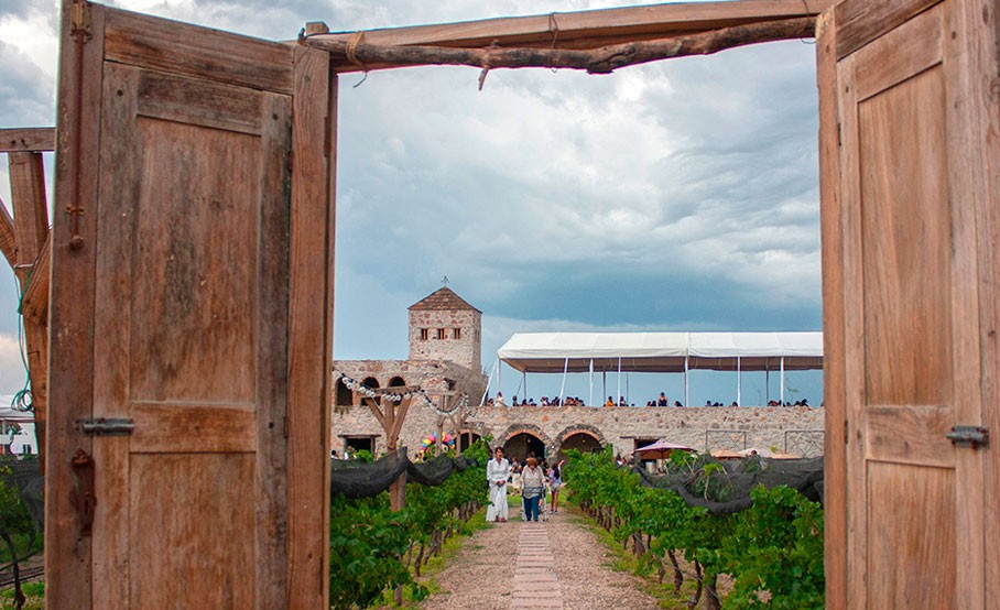 vendimia-tierra-de-alonso-blog-destacada-1000x653-1ok-copia