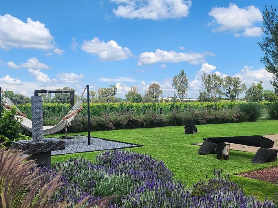 FB_IMG_1762445094180