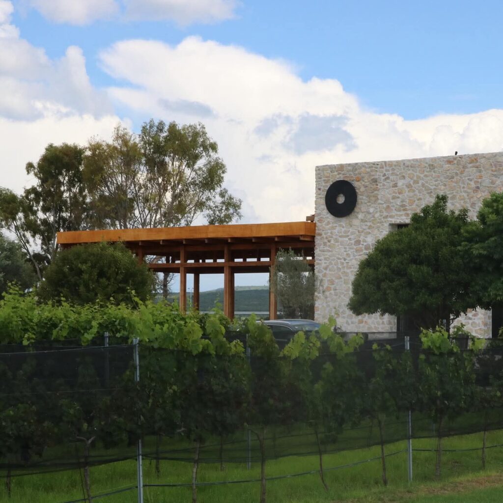 FB_IMG_1762451572618