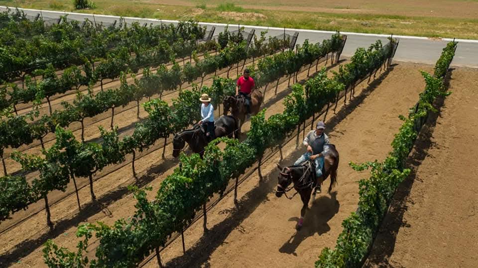 FB_IMG_1762532869343