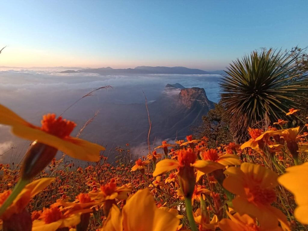 FB_IMG_1763055780705