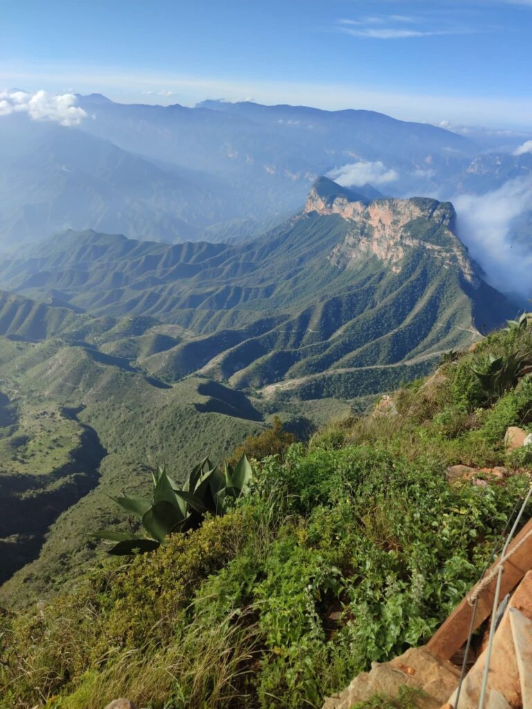 FB_IMG_1763055806106