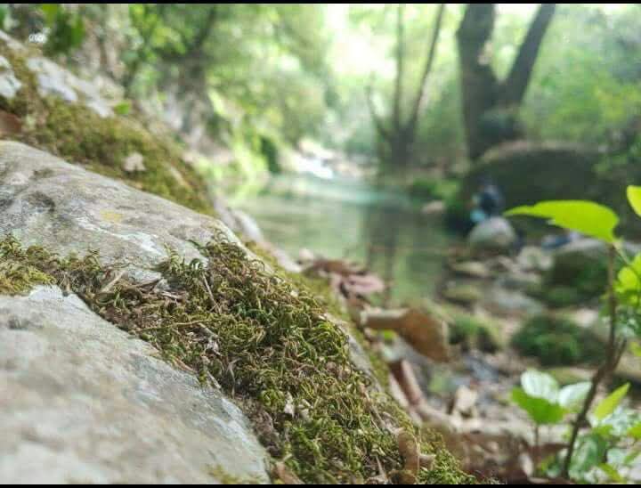 FB_IMG_1763346652280