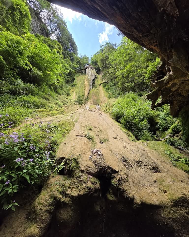 FB_IMG_1763347558663