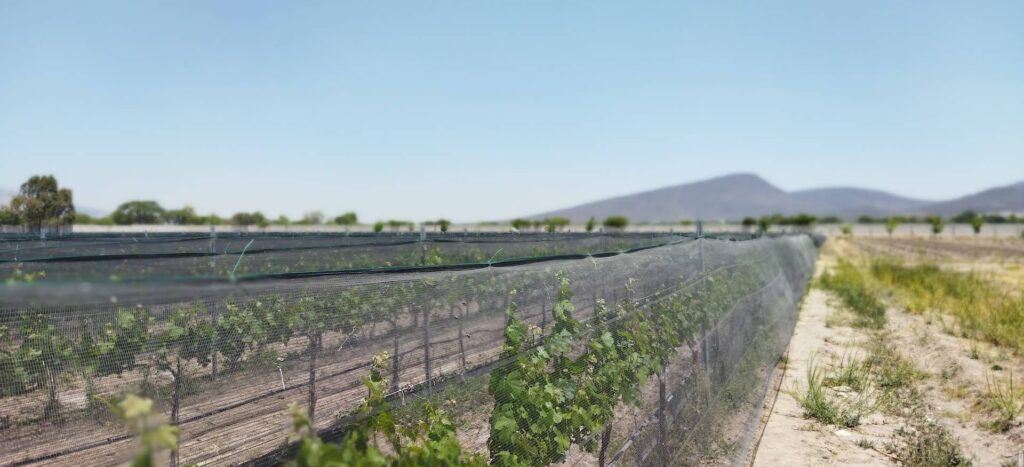 Screenshot_20251110-111912