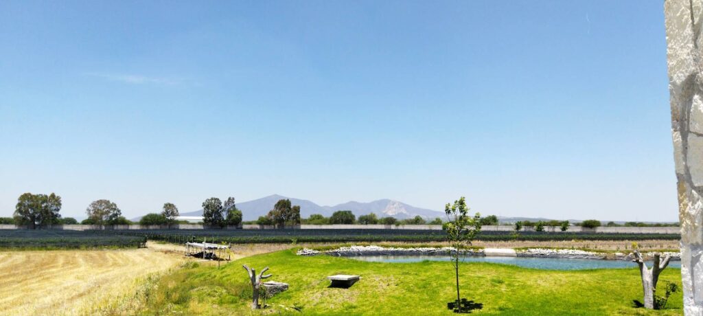 Screenshot_20251110-111920