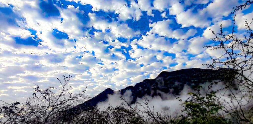 Screenshot_20251113-115820~2