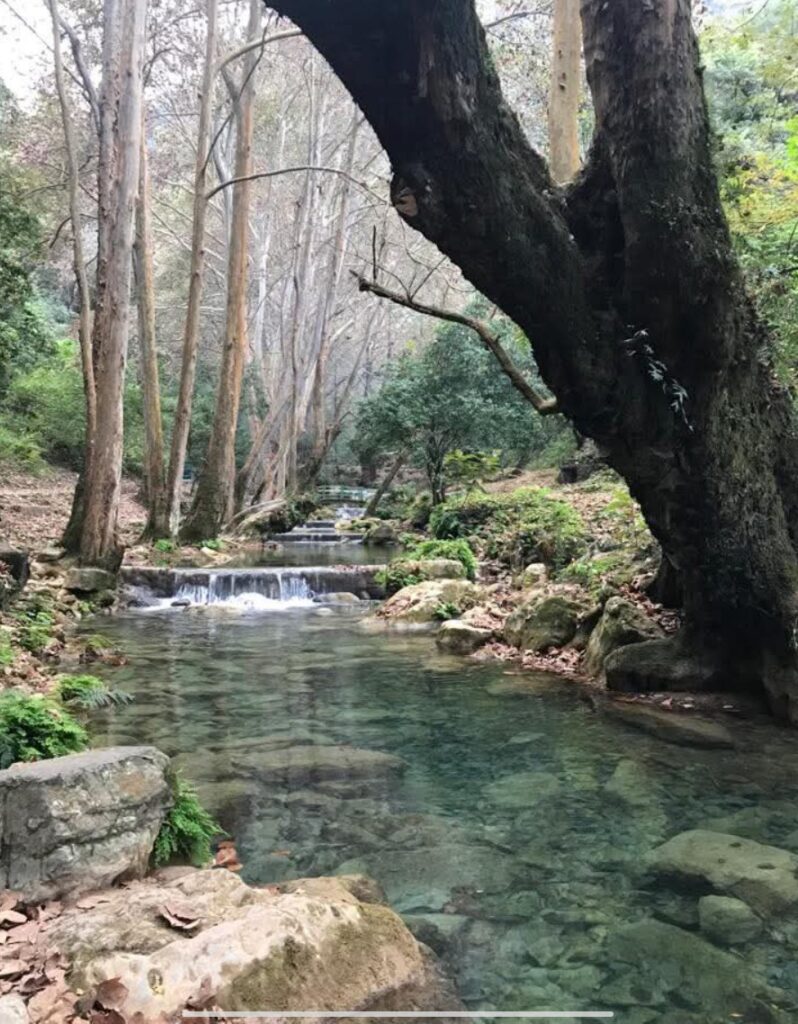 Screenshot_20251116-203046