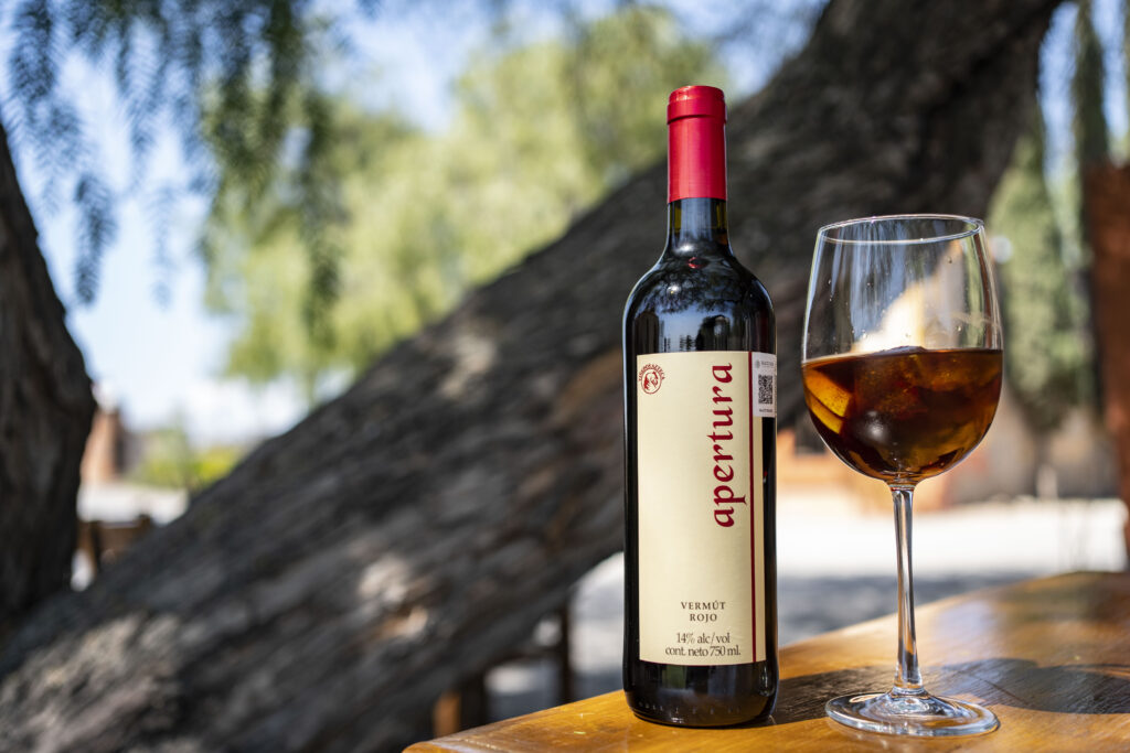 Viñedos-Azteca_25-1024x683