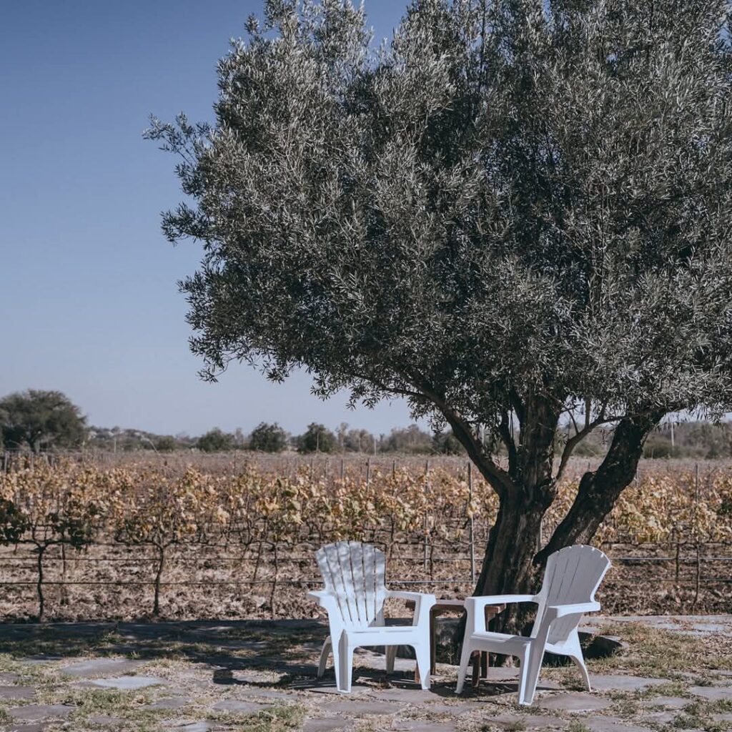 FB_IMG_1766173627033