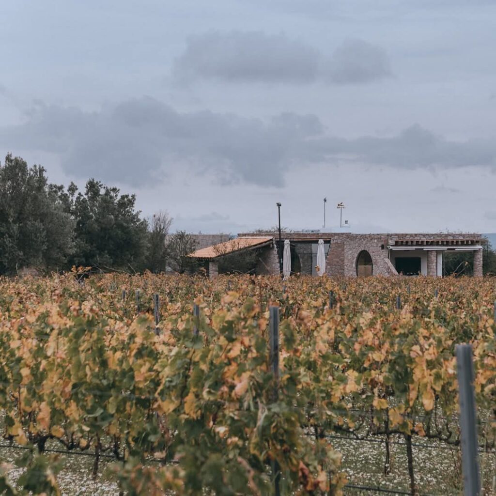 FB_IMG_1766173654656