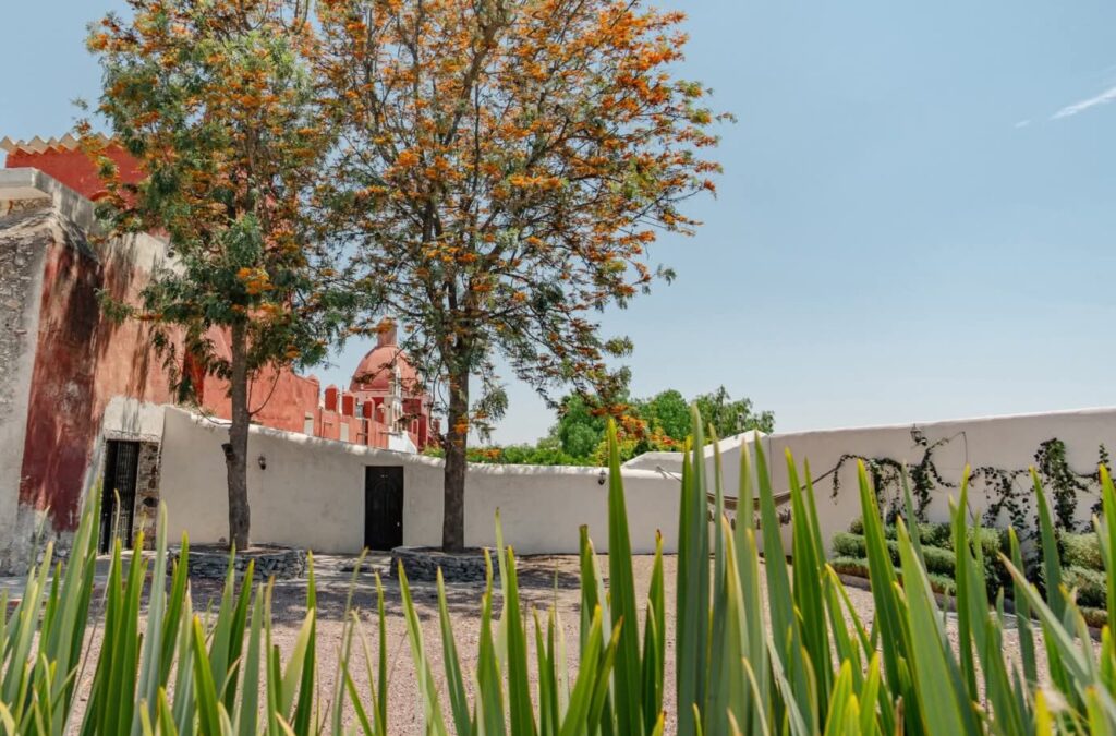 Screenshot_20251219-115717