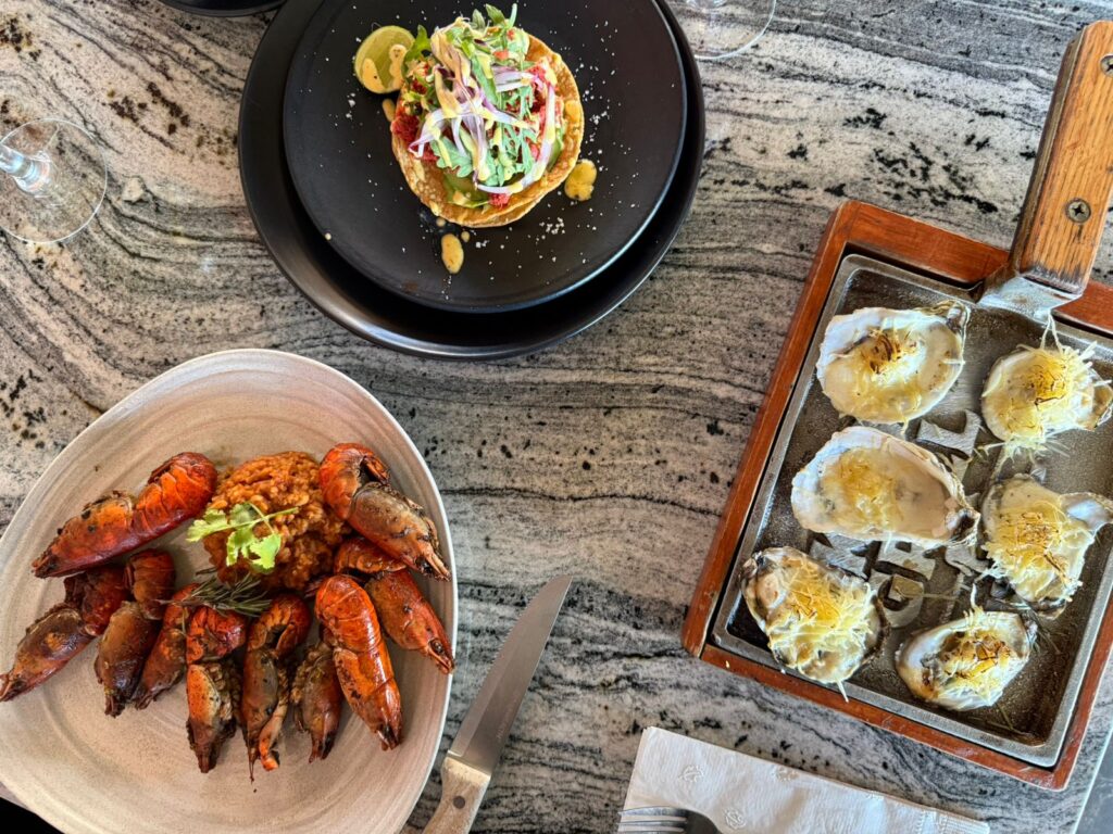 WhatsApp Image 2026-04-01 at 12.14.29